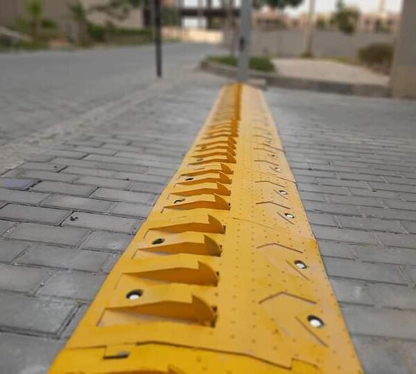 FB IMG 1610798738992 600x540