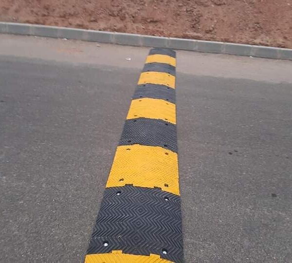 FB IMG 1610798755173 600x540