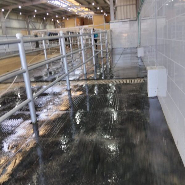 WhatsApp Image 2025 12 03 at 23 10 15 5b8b80cd 600x600