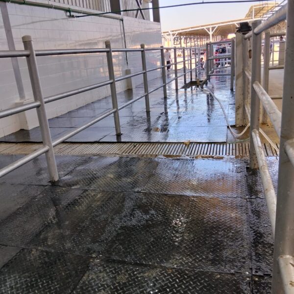 WhatsApp Image 2025 12 03 at 23 10 15 ab497255 600x600