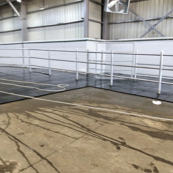 WhatsApp Image 2025 12 03 at 23 10 15 e200685b 1 600x600