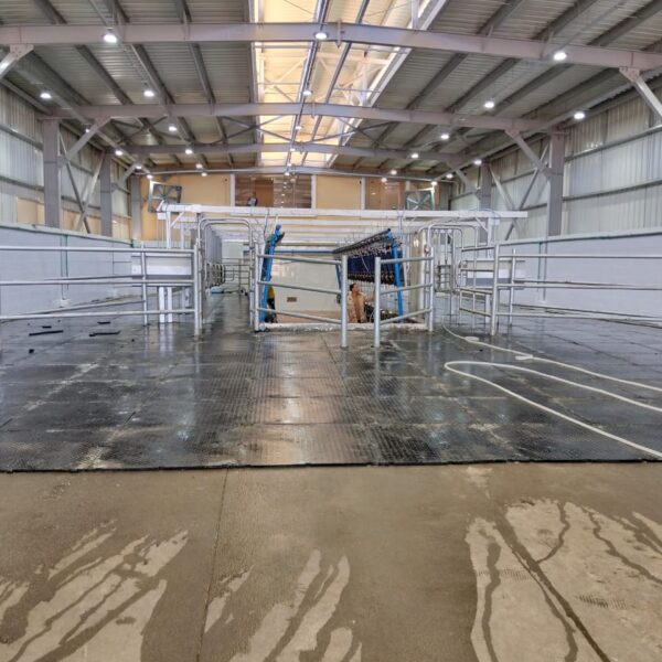 WhatsApp Image 2025 12 03 at 23 10 16 657b531a 1 600x600