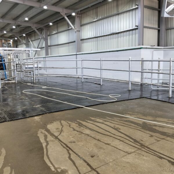 WhatsApp Image 2025 12 03 at 23 10 16 a0e9c626 1 600x600