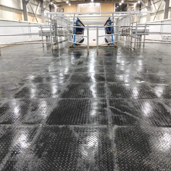 WhatsApp Image 2025 12 03 at 23 10 18 b70d67c7 600x600