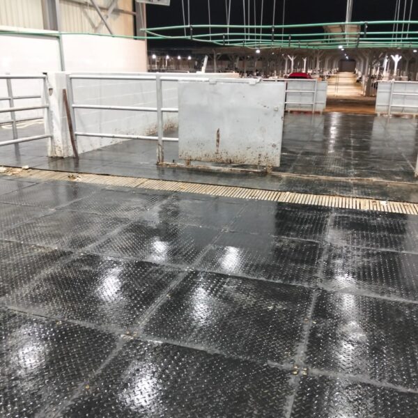 WhatsApp Image 2025 12 03 at 23 10 19 ce458f7b 600x600