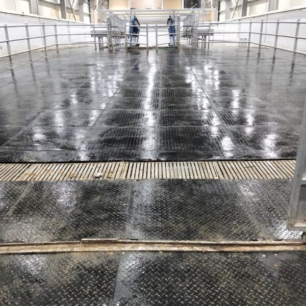 WhatsApp Image 2025 12 03 at 23 10 20 1835b4aa 600x600