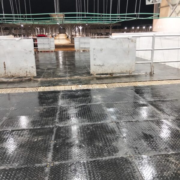 WhatsApp Image 2025 12 03 at 23 10 20 8ecece56 600x600