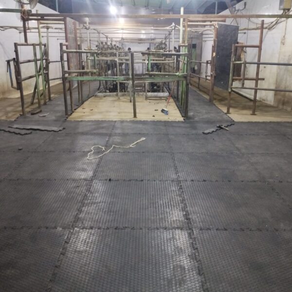 WhatsApp Image 2025 12 03 at 23 10 21 c8336f71 600x600