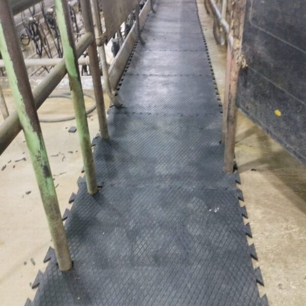 WhatsApp Image 2025 12 03 at 23 10 21 f80bffc3 600x600